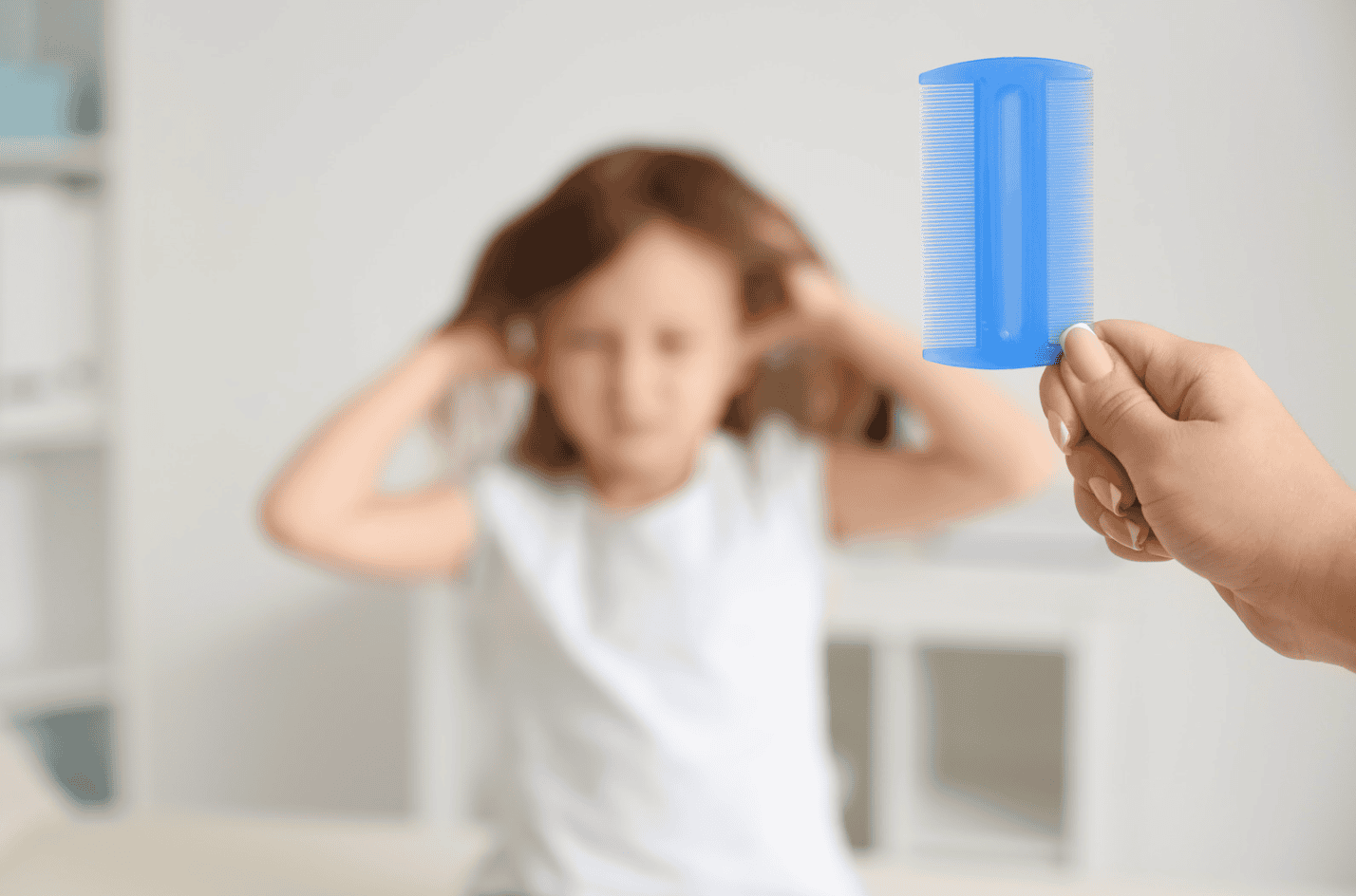 lice removal